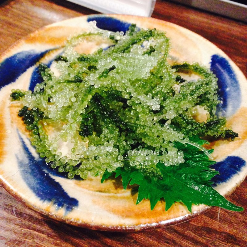 海ぶどう(抱瓶)