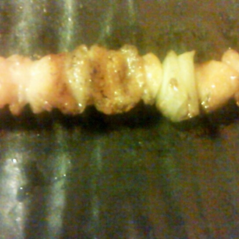 皮(炭火焼きとり くぼ)