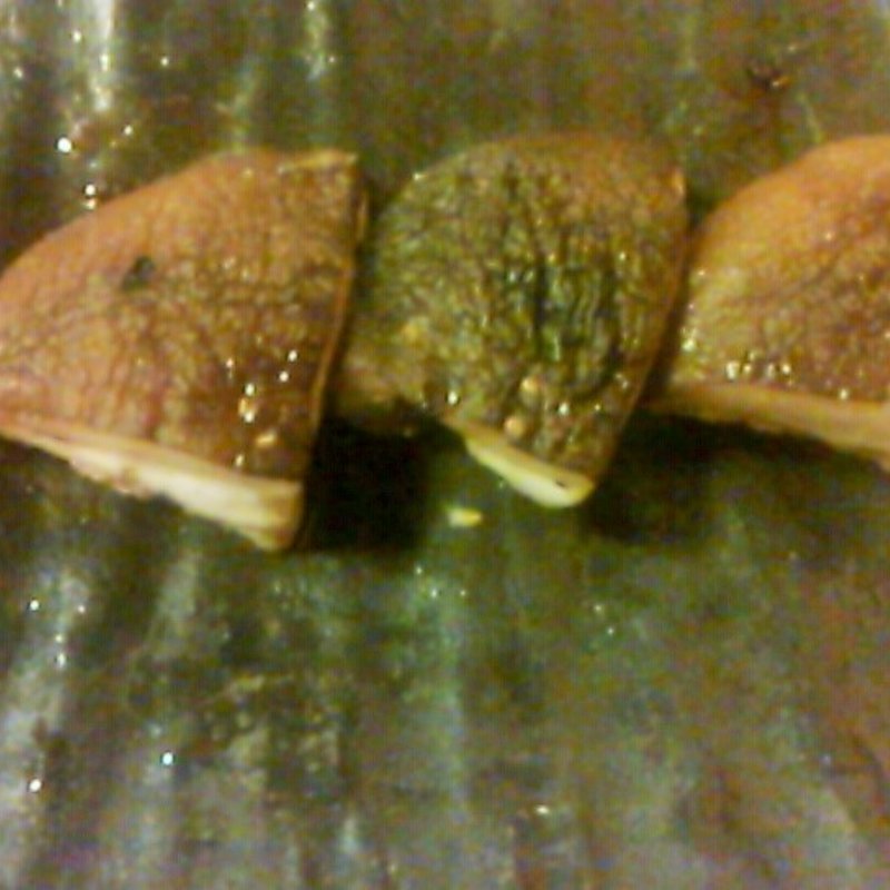 しいたけ(炭火焼きとり くぼ)