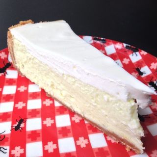 Key Lime Cheesecake(Otto Cake)