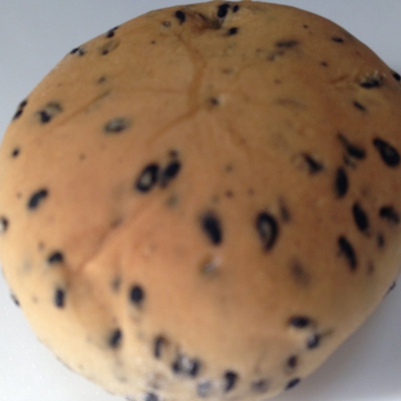 謹製ごままんじゅう(札幌 新倉屋 本店)