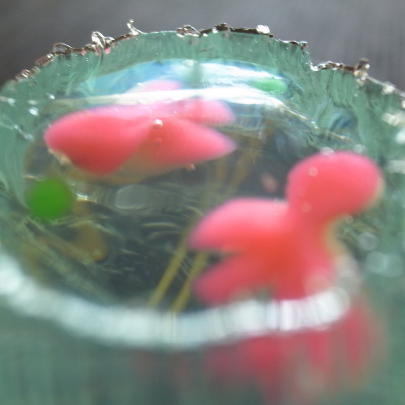 金魚鉢(幸楽屋 （こうらくや）)