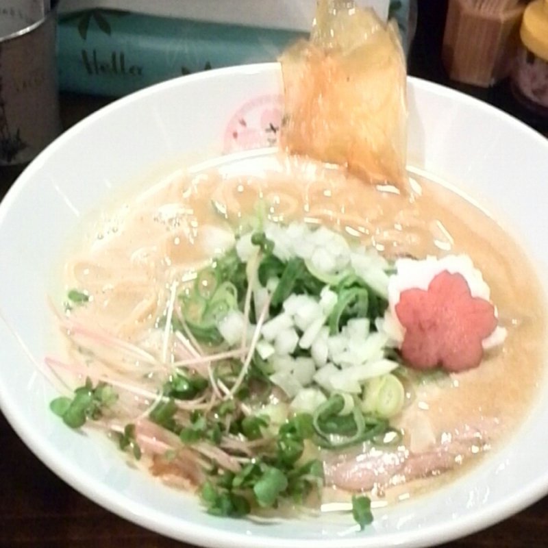 夜桜パイタン(さくら咲く )