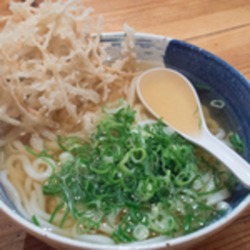 ゴボウ天うどん(つきよし)