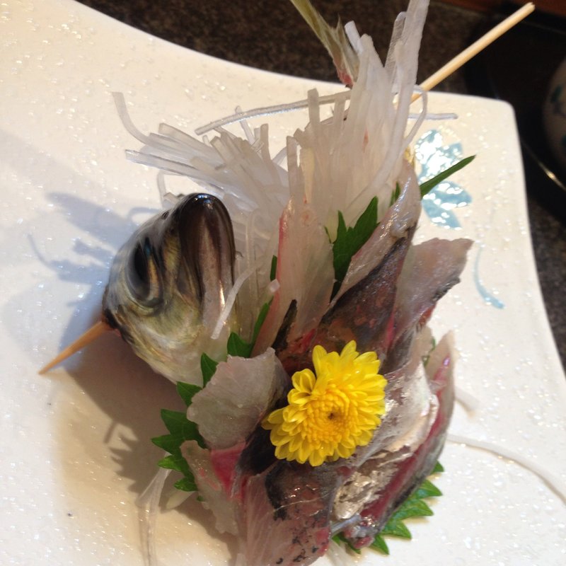 鯵のお刺身(鮨神田)