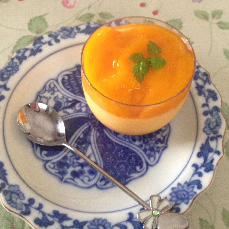 マンゴープラン(ラーメン道楽 洗足池店 （らーめんどうらく）)