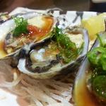 Oysters