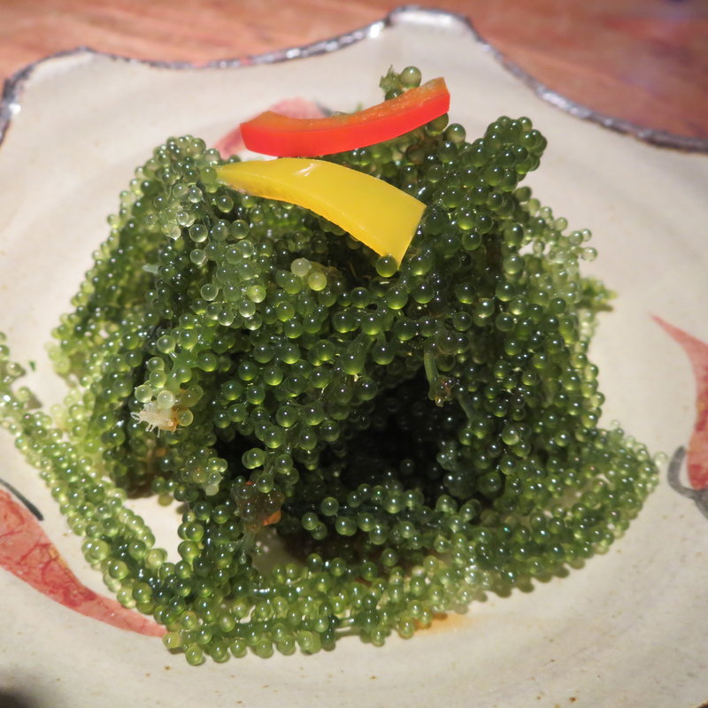 海ぶどう(読谷物語 )