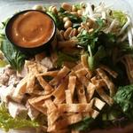 Chicken Peanut Satay Salad(Aloha Salads)