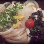 Sanuki Udon