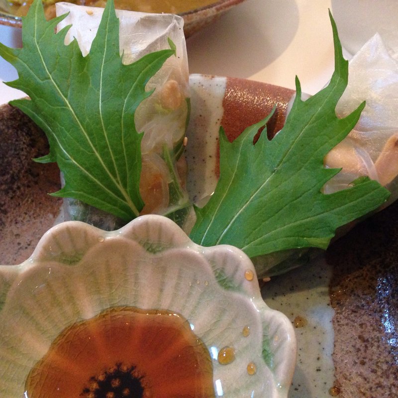 生春巻き(深夜特急 アジアン キュジーヌ カフェアンドバー)