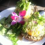 Vegetarian everything bagel