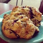 Blueberry Scone