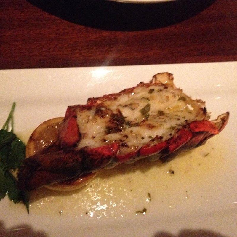 Main Lobster Tail(Seasons 52)