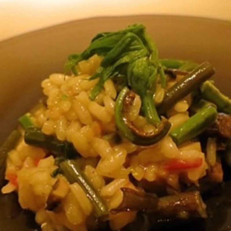 パスタ(フィオッキ)