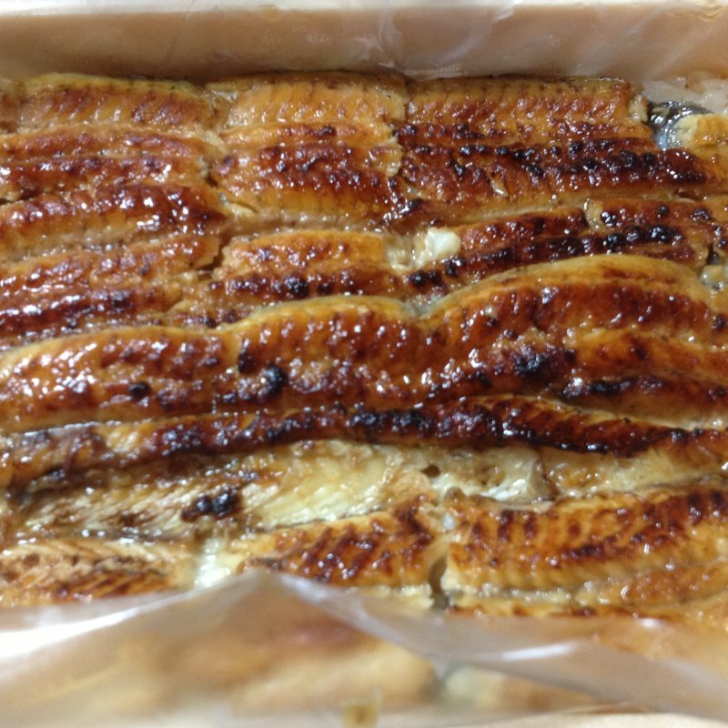 うな重（梅）(うなぎ伊志河)