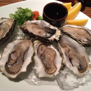 Canadian Fresh Oysters(Izakaya Hachi)