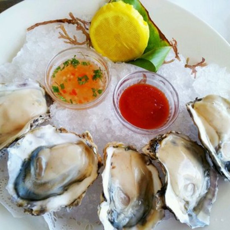 fresh shucked iced pacific oysters(Michel's)
