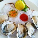 fresh shucked iced pacific oysters