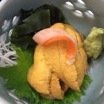 Uni sashimi