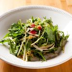 Fresh Mizuna Daikon Salad 