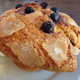 Blueberry Muffin(Tammie's Corner House Cafe)