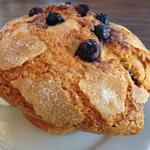 Blueberry Muffin(Tammie's Corner House Cafe)