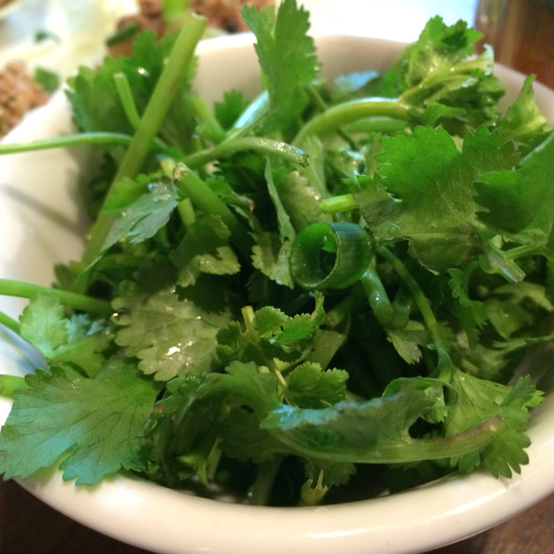 パクチー(バーン・イサーン 高円寺店 )