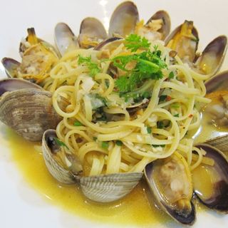 Linguine Vongole(Cafe Concerto)