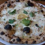 Cherry Stone Clams