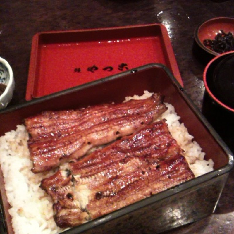 うな重　松(やっこ)