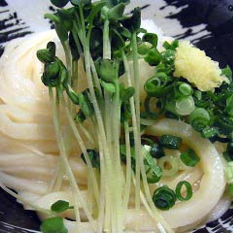 ぶっかけうどん(手打ちうどん 団平)