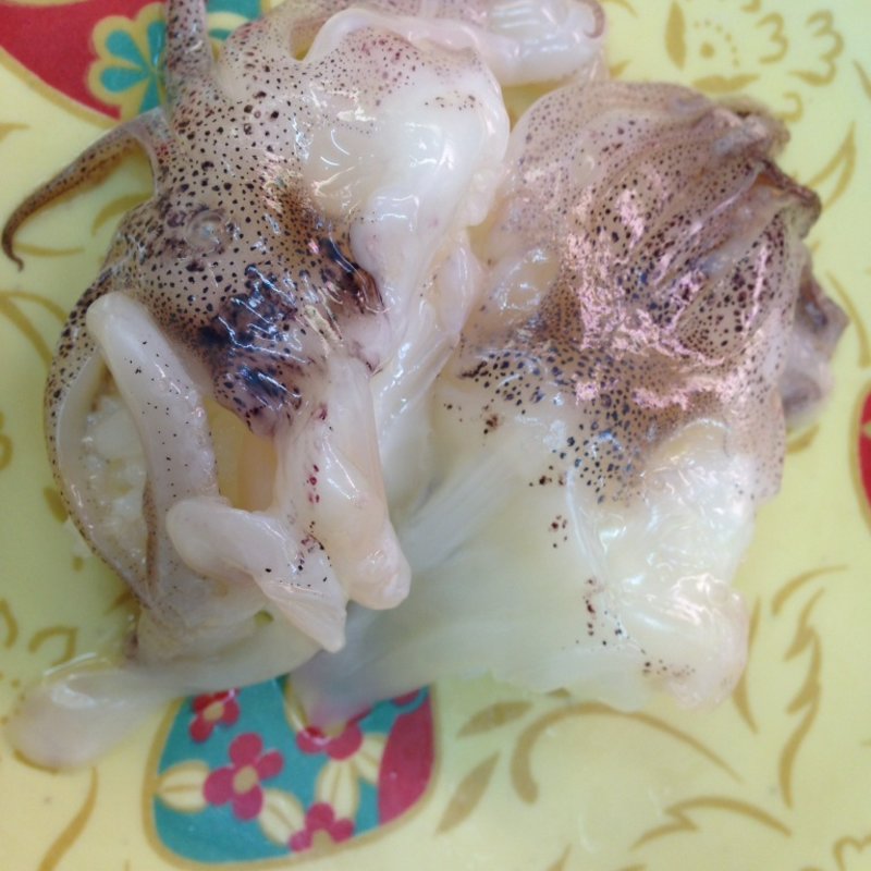 生げそ(回転ずしとら)