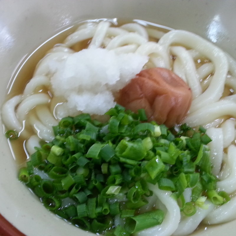 梅ぶっかけうどん(若潮 )