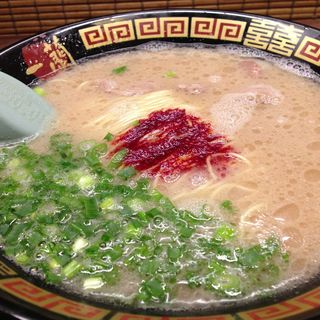 天然とんこつラーメン(一蘭 道頓堀店 )