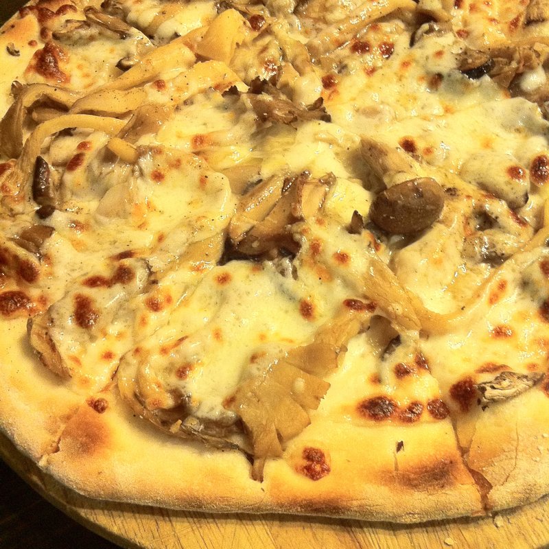 Company of Mushrooms(Casa Del Cocco)