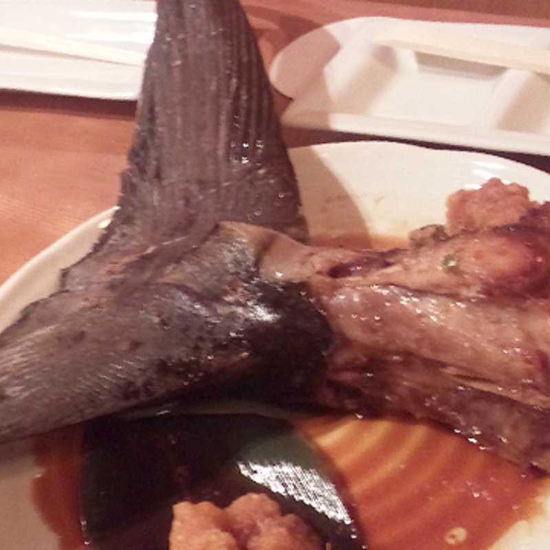 マグロ尾の身炭火焼き(Jige 築地店)