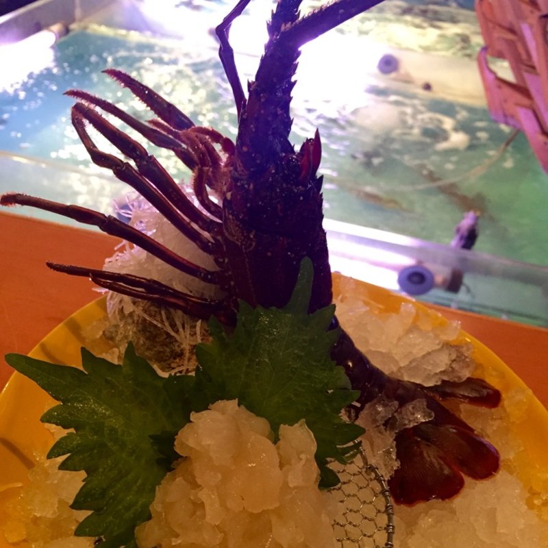 活伊勢海老 刺身(いけす無門)