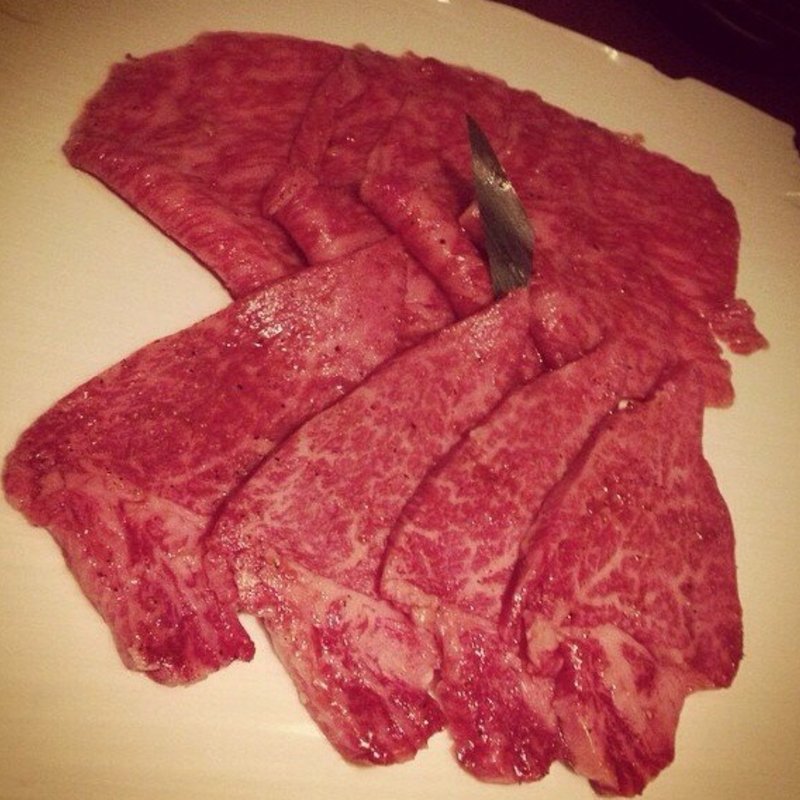 シャトーブリアンとシルクロース(よろにく)