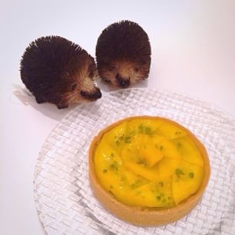 マンゴータルト(HAND BAKES ルミネ新宿２店)