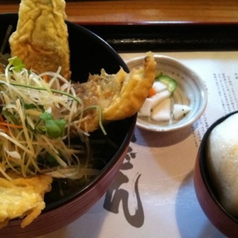 鯵のサクサク丼(菜こんたん)