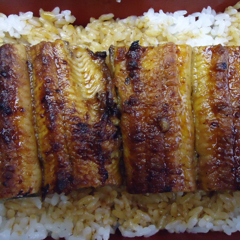 上鰻まむし(かねよ )