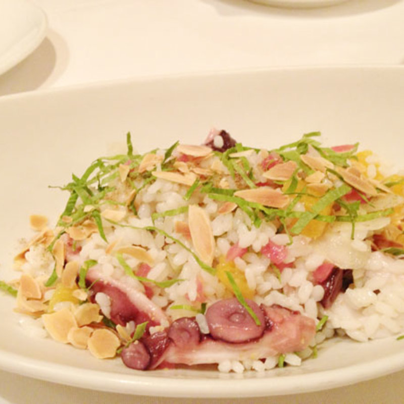 蛸とお米のサラダ(トラットリア・ブリッコラ)