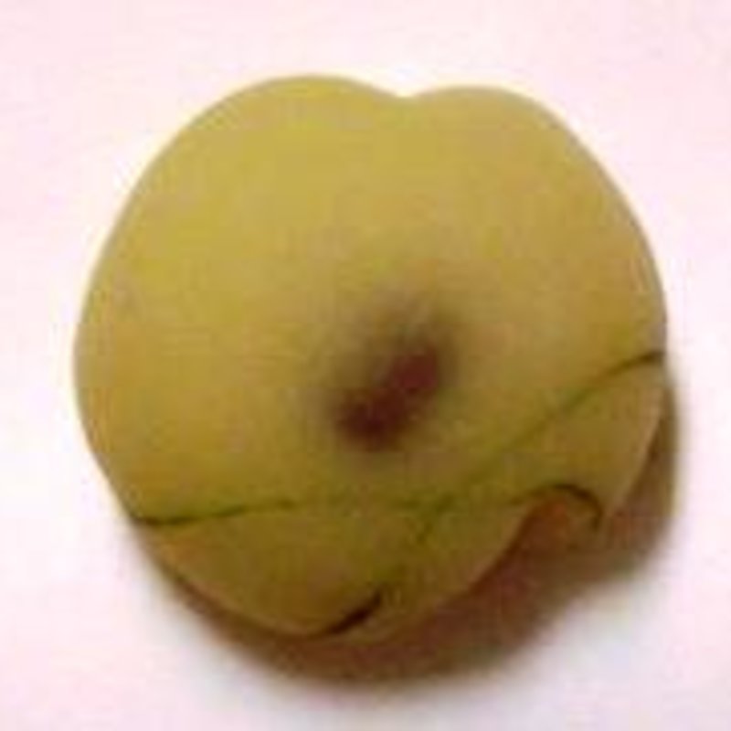 虫の音(松寿軒 （ショウジュケン 松壽軒）)