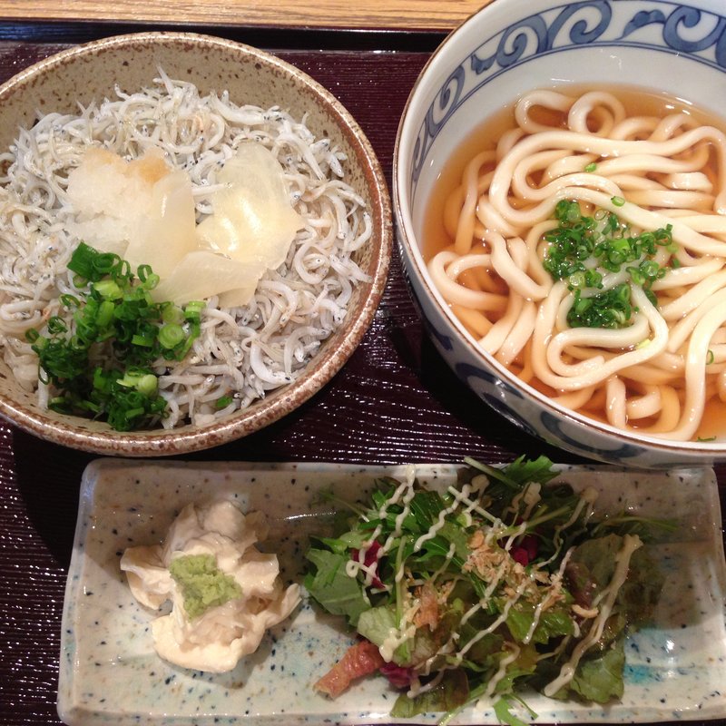 レディースセット(古城 （コギ）)