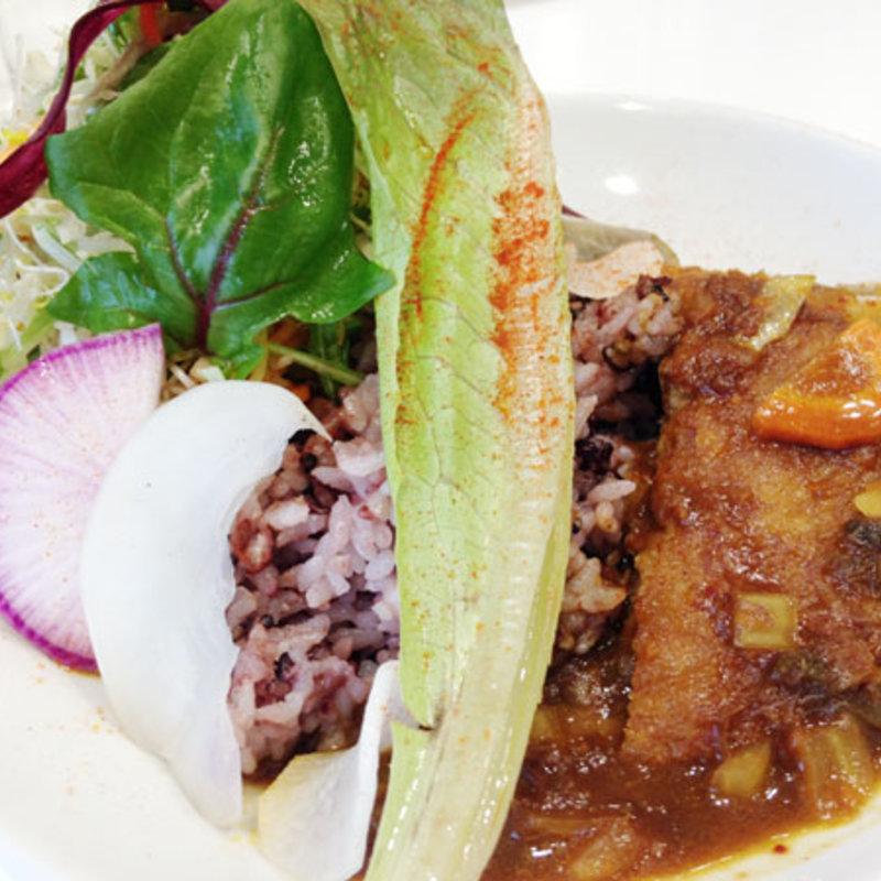 本日のランチプレート　(dono （ドーノ）)