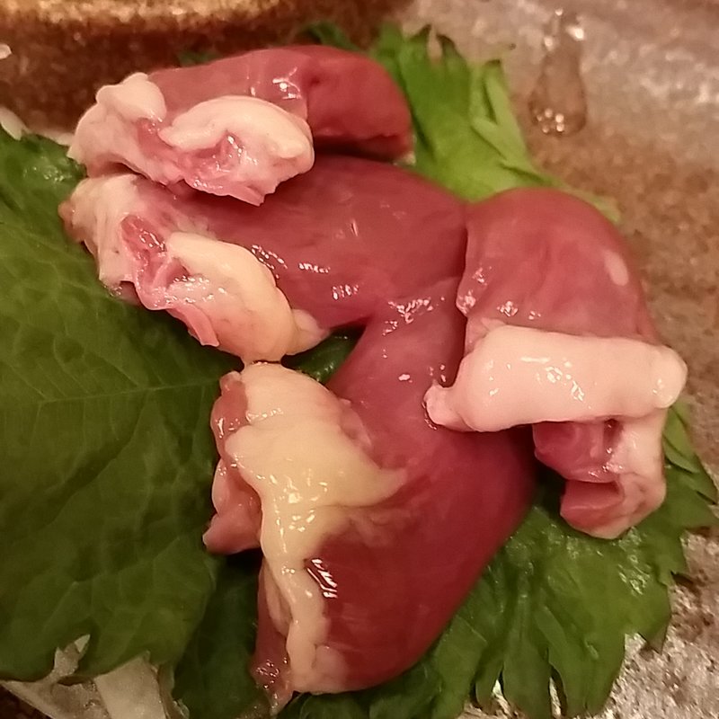 こころの造り(さか町 鳥光)