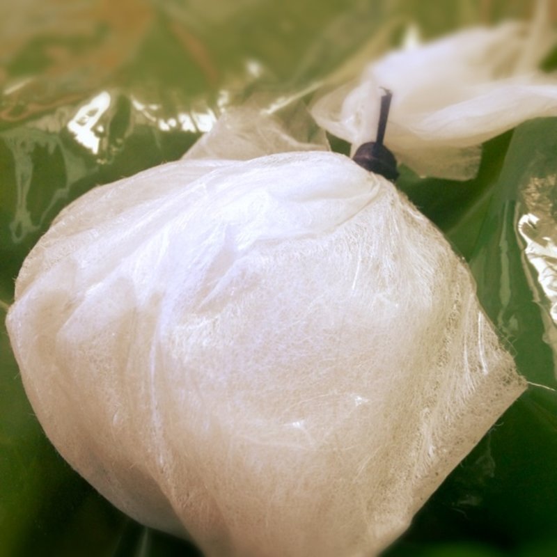 ぶどう大福(御菓子虎 とらや本家)