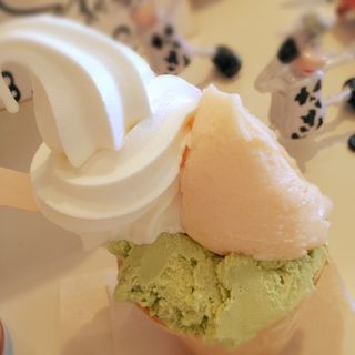 ソフトクリームと二種のアイス(ミルクパレット)