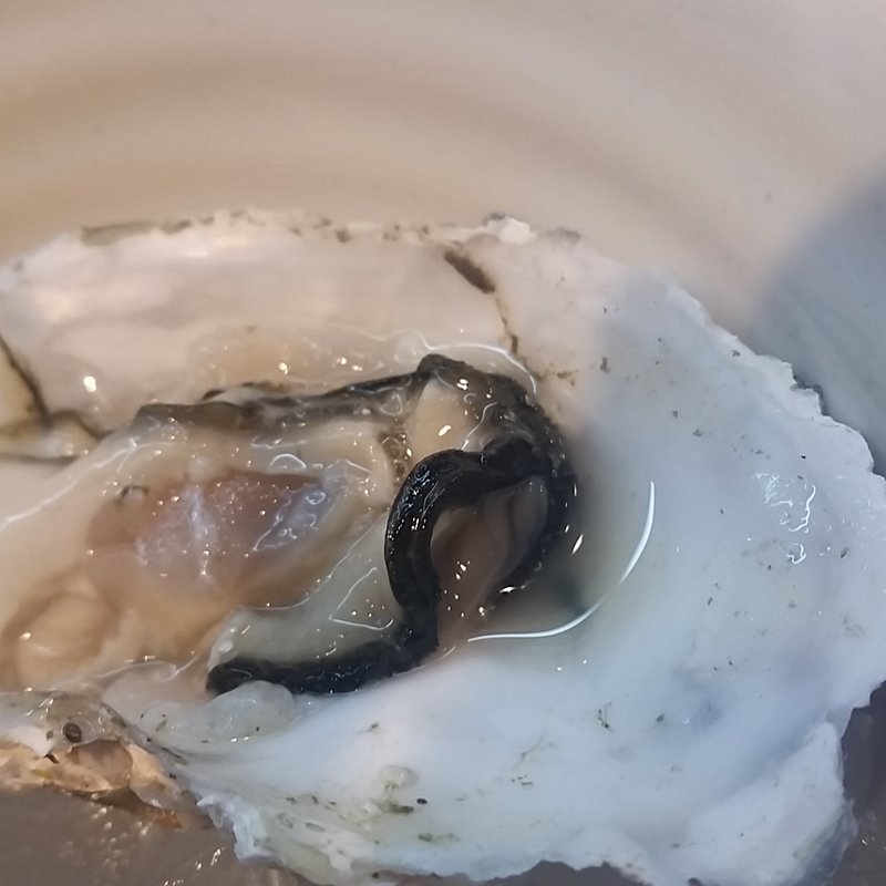 小長井(おさかなやたい まつり)